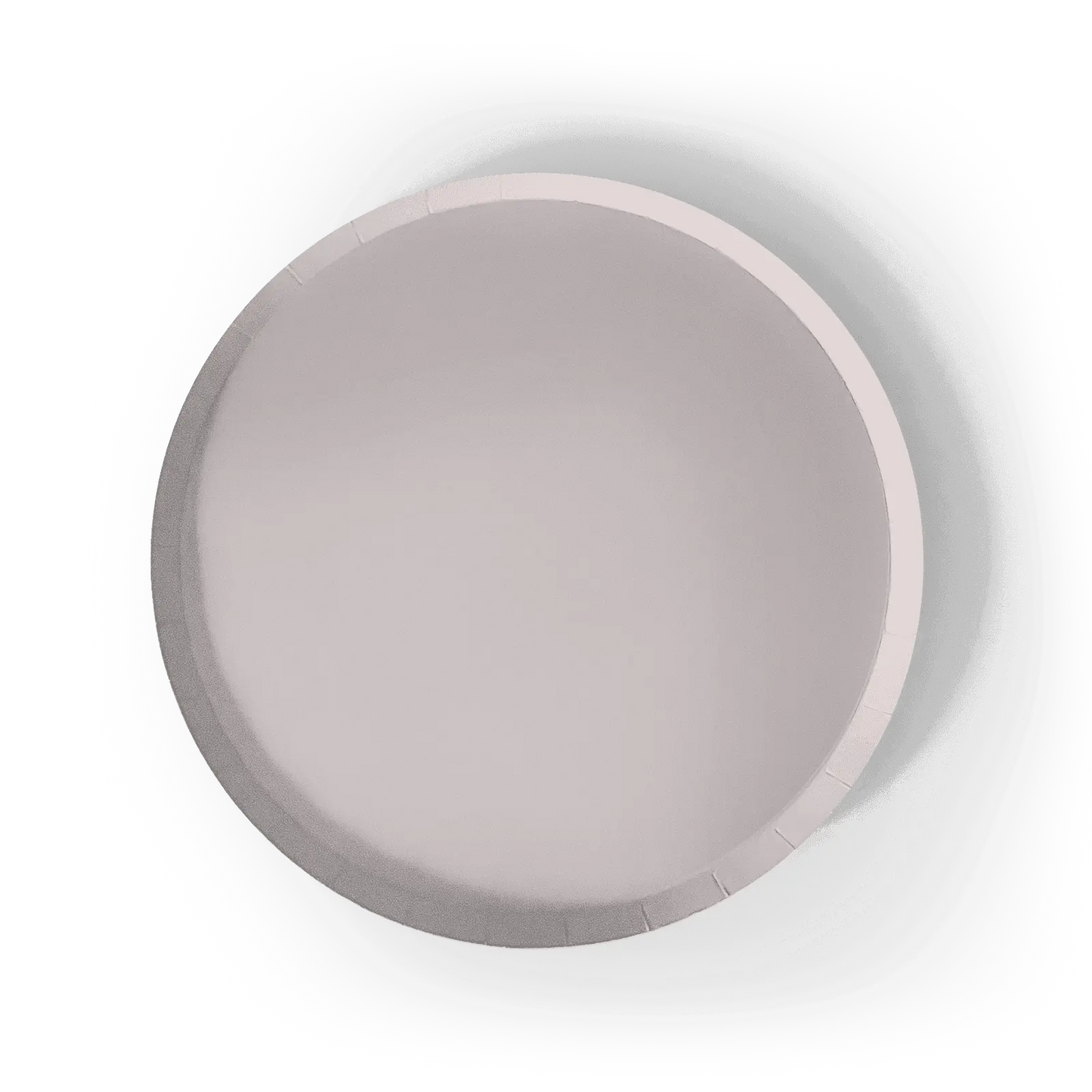 Gray Paper Party Plate (8pcs)