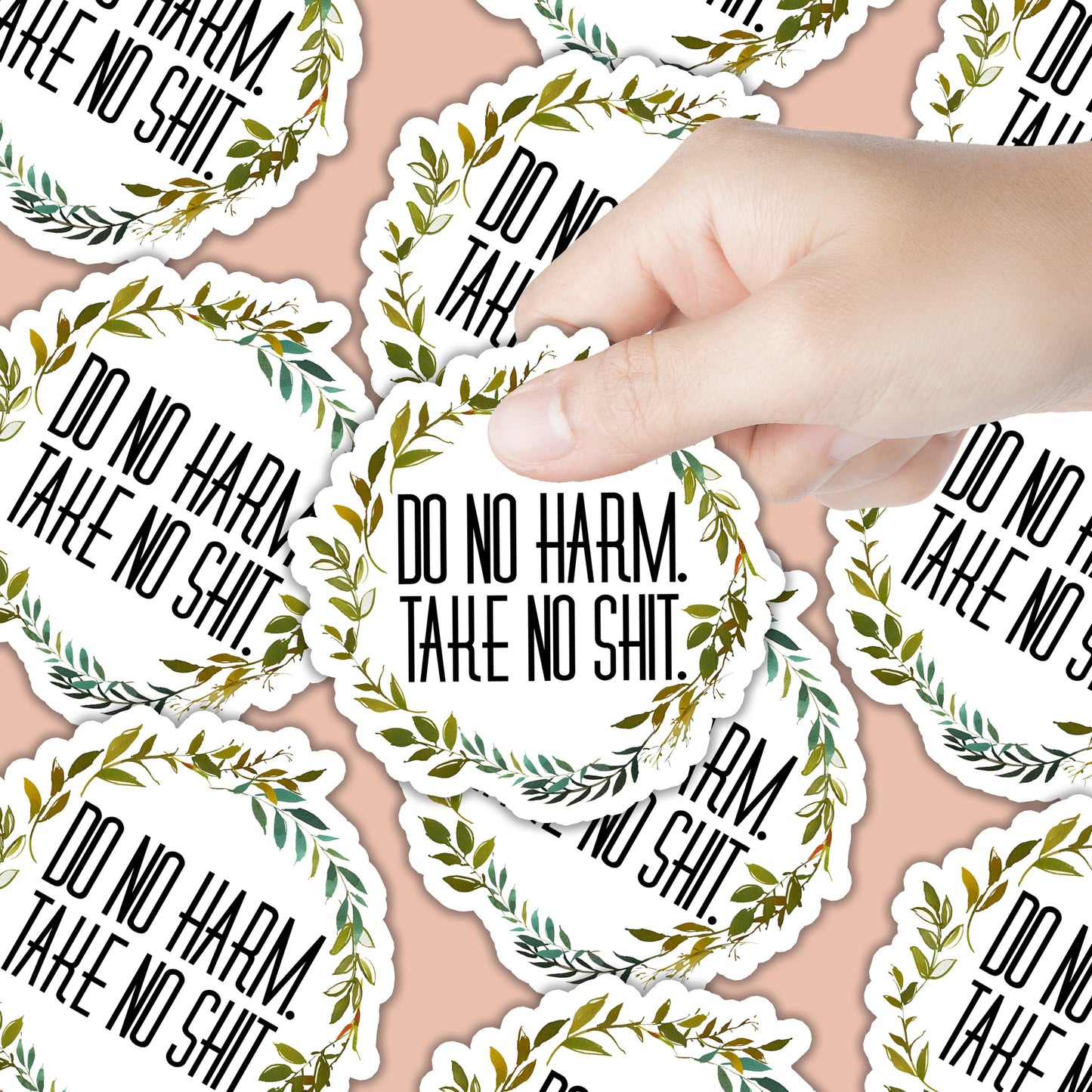 Do No Harm Take No Shit Sticker