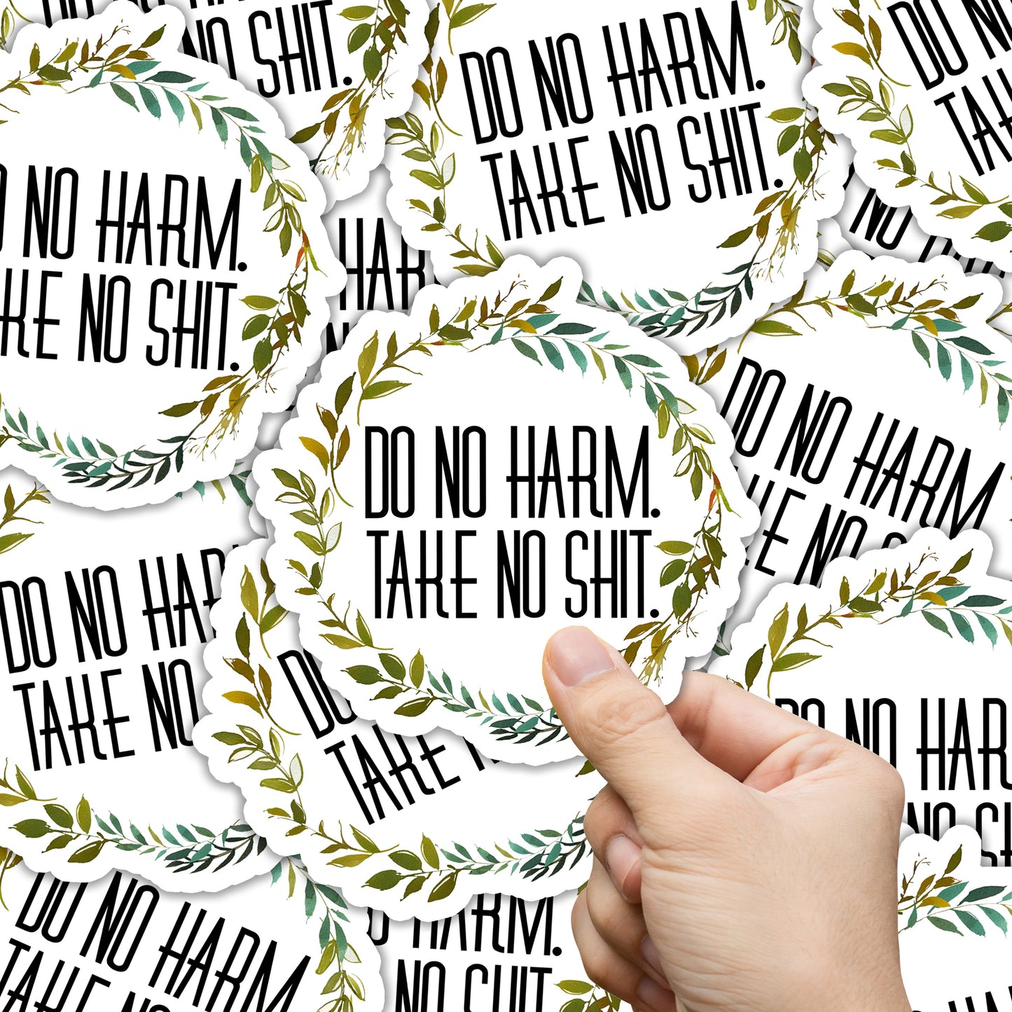 Do No Harm Take No Shit Sticker