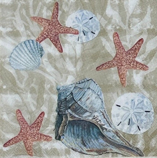 Decoupage Napkins Sand Dollars Summer Beach Days Seashell Shell Blue Cocktail Paper Crafts