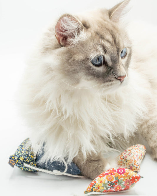 MODERN MOUSE CATNIP TOY - FLORAL