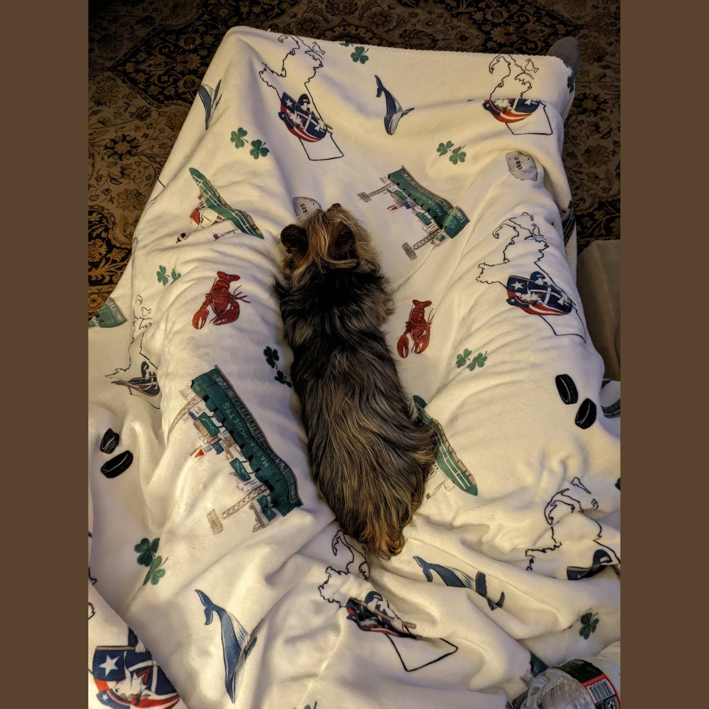 Massachusetts Plush Throw Blanket 60x80 Meaningful Reminder of Home