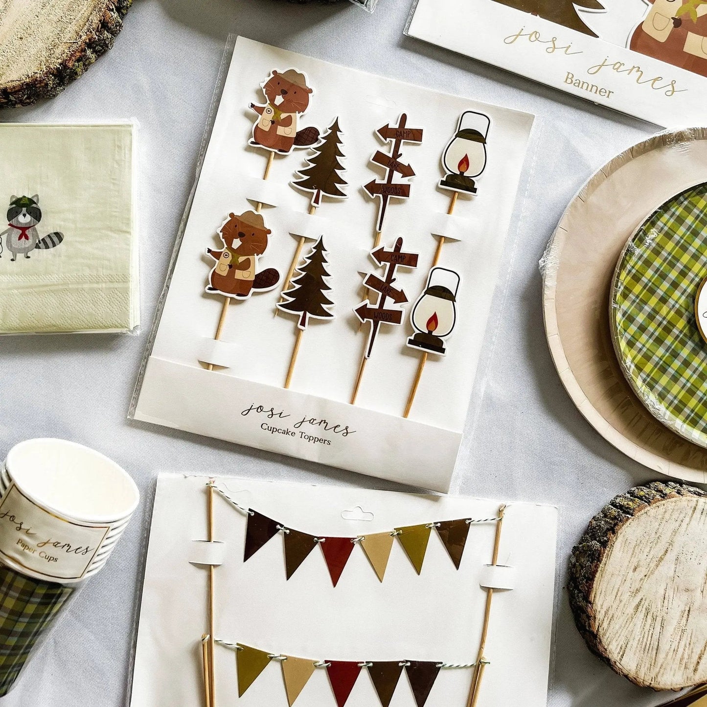 Scout Cake Banner