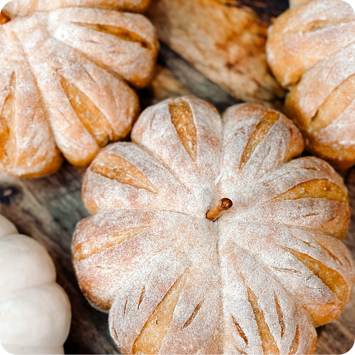 A Taste of Sourdough Cookbook