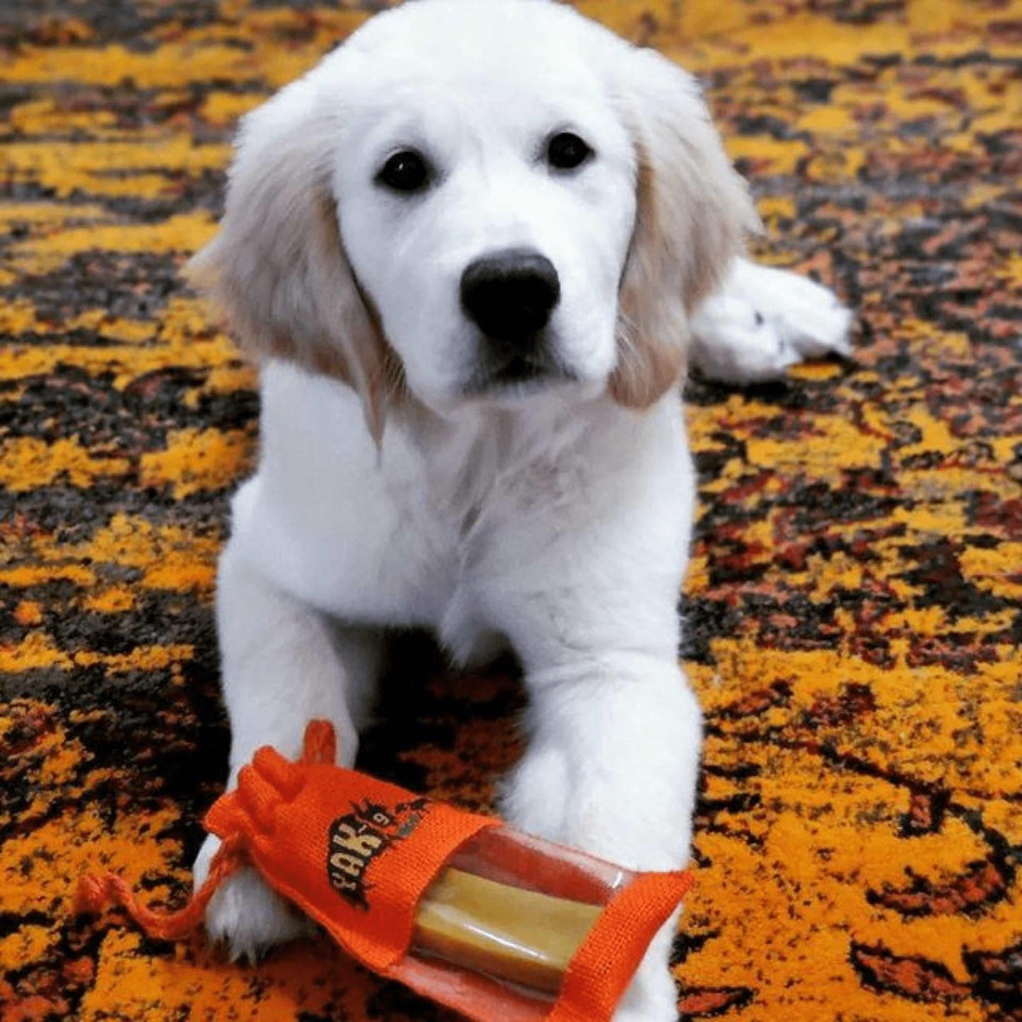 Turmeric Yak Milk Chews for Dogs