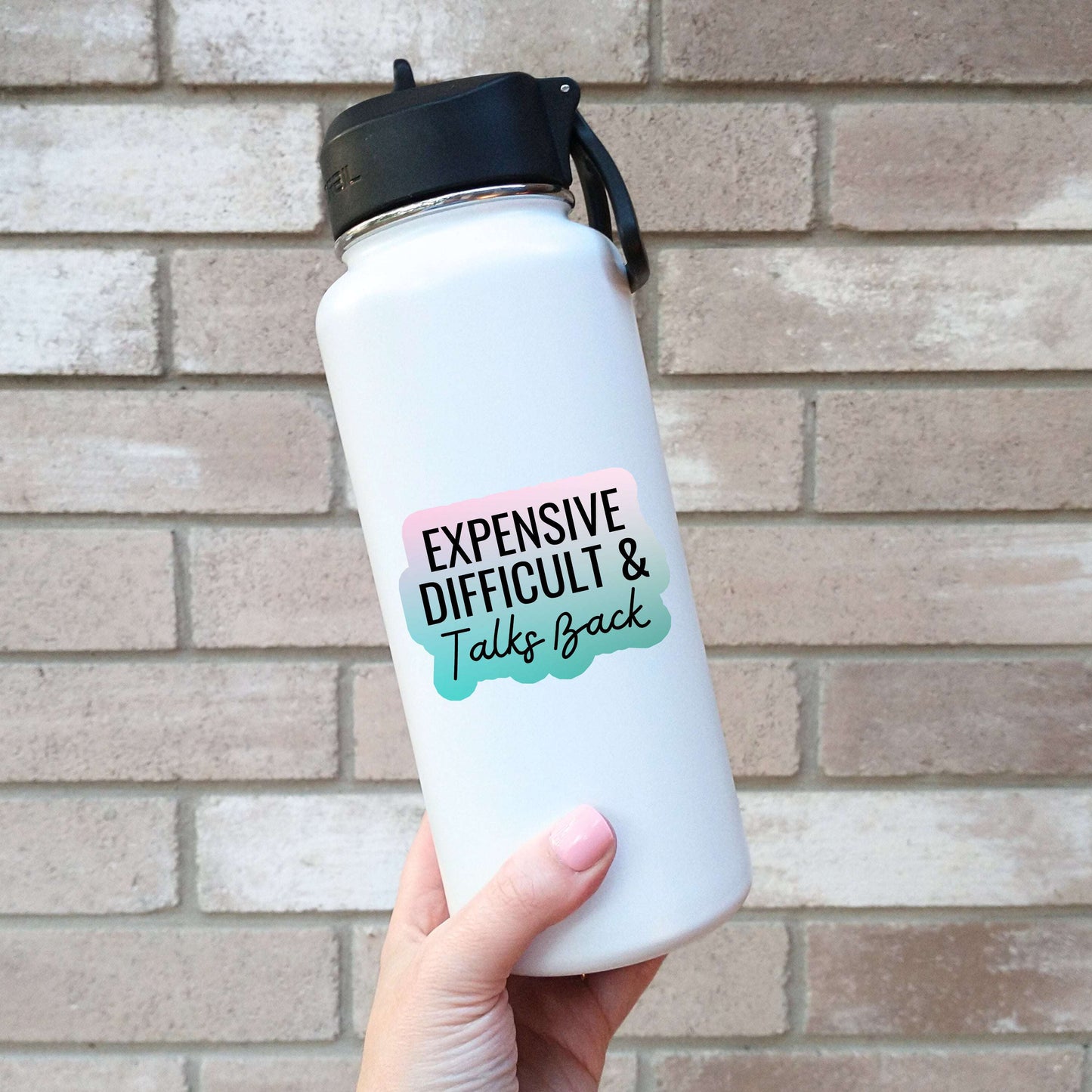 Expensive Difficult & Talks Back Sticker
